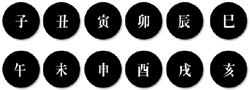 ¶ìº°¿î¼¼ 2025³âÅäÁ¤ºñ°á À»»ç³â¿î¼¼
